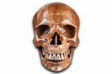 Realistic, Polished Chohua Jasper Skull #378675-1
